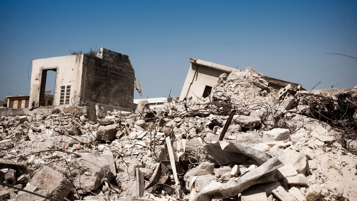 Animales que predicen desastres naturales antes de que ocurran