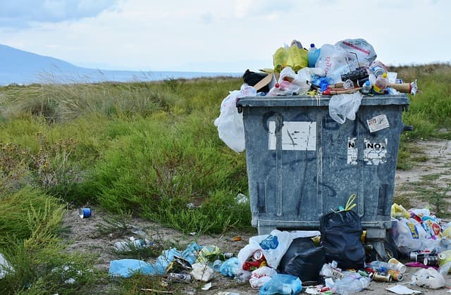 Economía circular y tecnología: cómo las empresas están convirtiendo residuos en negocio rentable