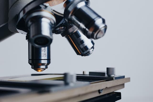 Cómo la inteligencia artificial está revolucionando la medicina en 2025