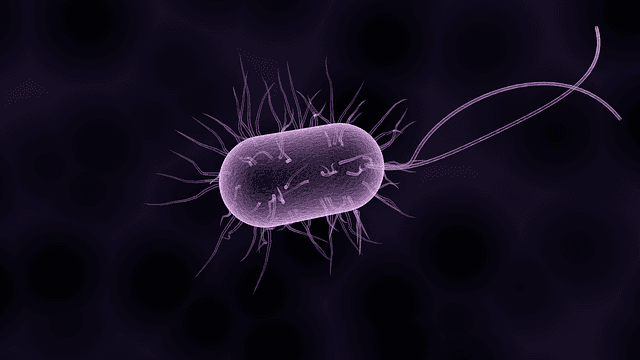 Descubren una forma inesperada en que microbios se desplazan sin usar flagelos