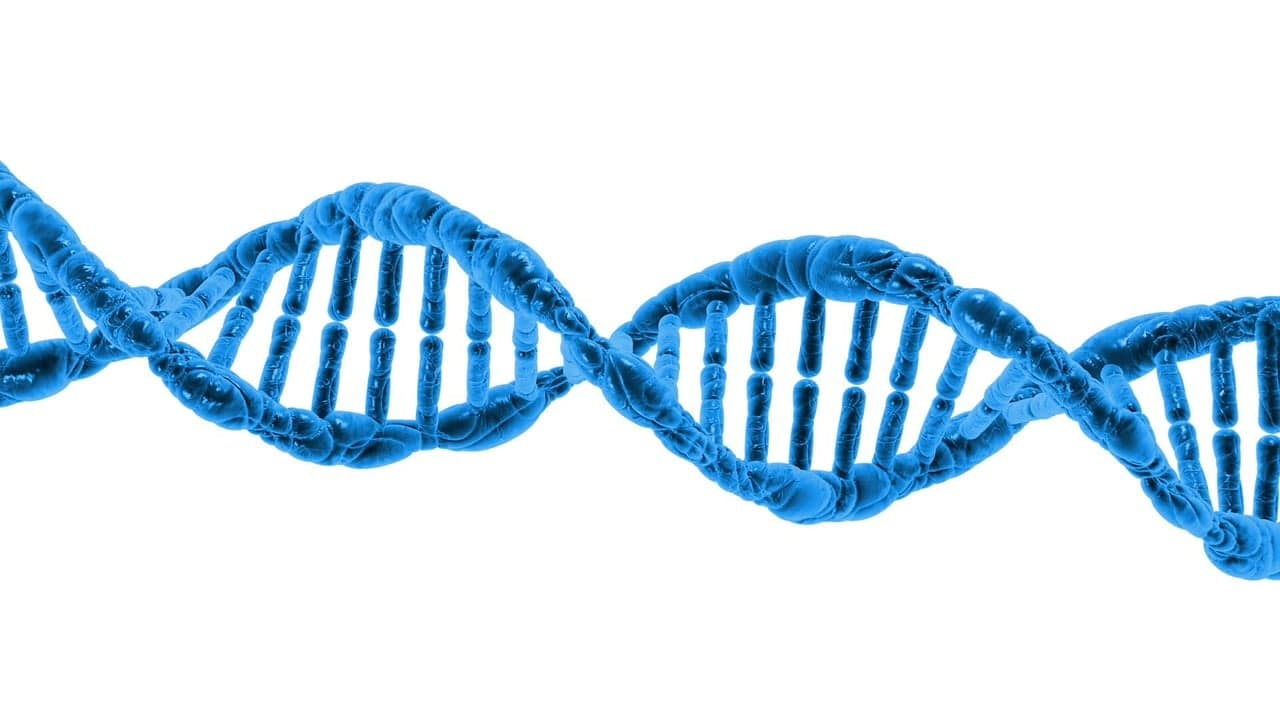 La epigenética revela cómo el entorno modifica los genes sin cambiar el ADN