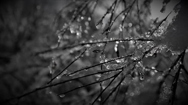 Comienza el invierno de 2025