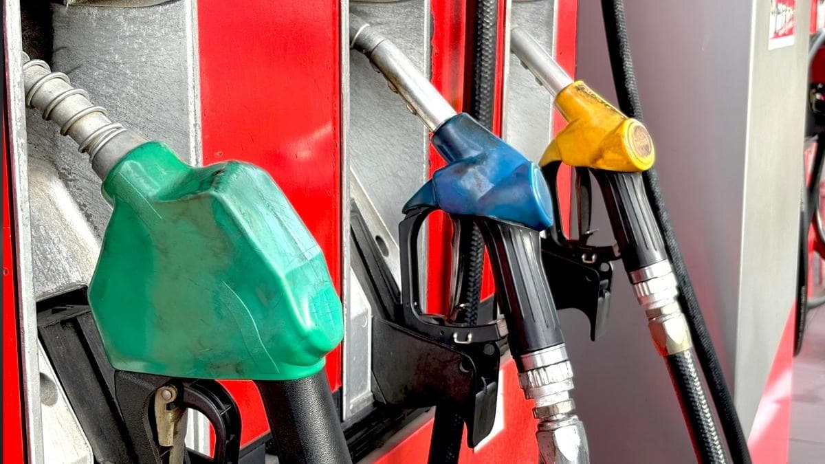 Moeve y Galp estudian una fusión histórica para crear un gigante energético ibérico