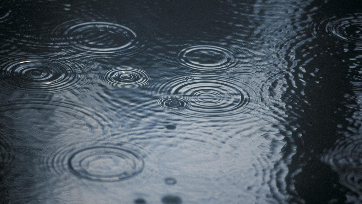 El extraño fenómeno natural que hace llover peces en algunas partes del mundo