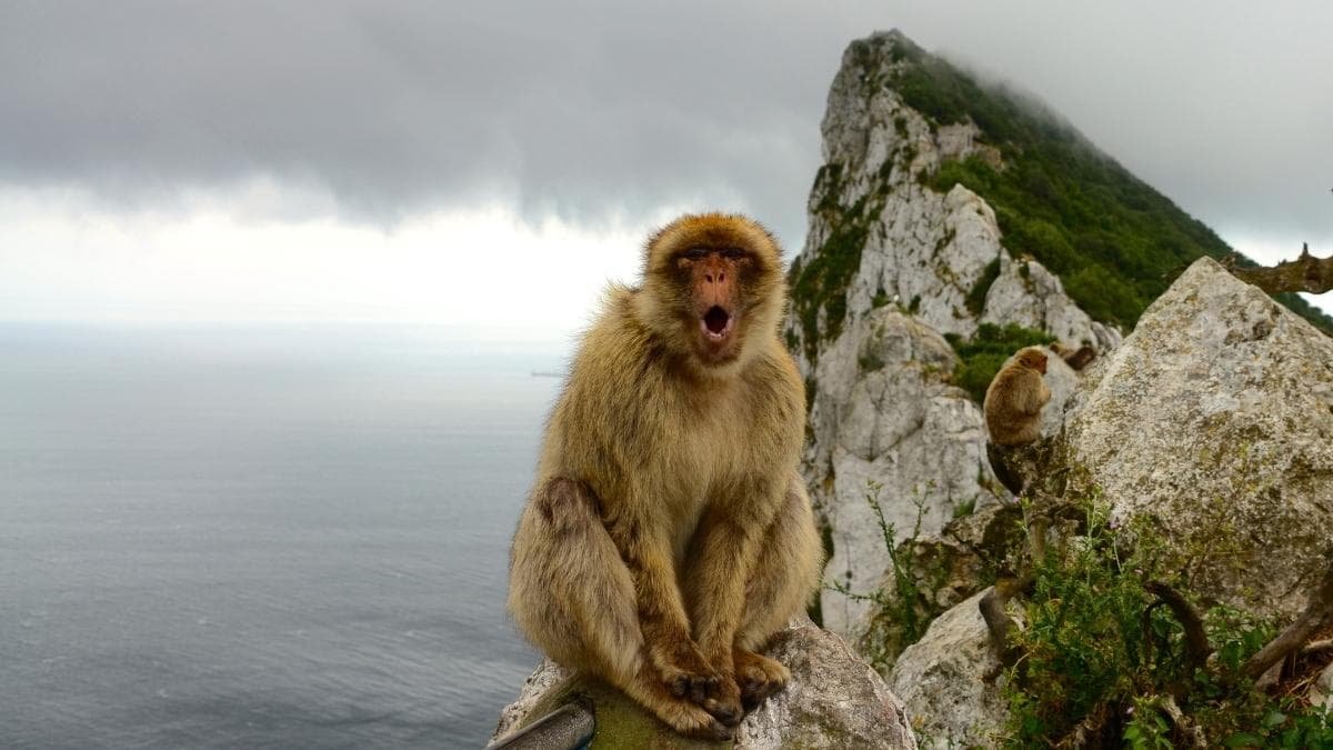 España y Gibraltar avanzan hacia un nuevo marco tras el acuerdo histórico: fechas clave y próximos pasos