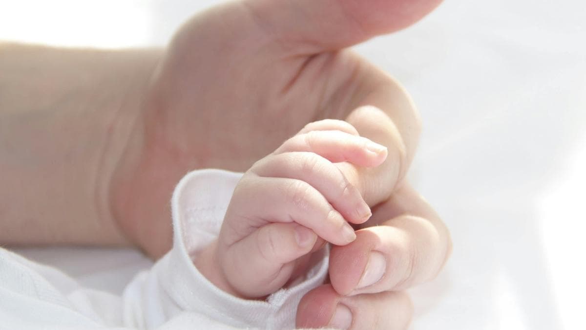 El choque demográfico en España en 2026: menos nacimientos y una población cada vez más envejecida