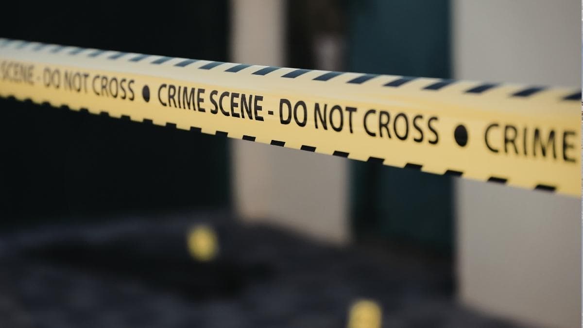 Stein-Erik Soelberg: la IA en el centro de un crimen y una demanda histórica