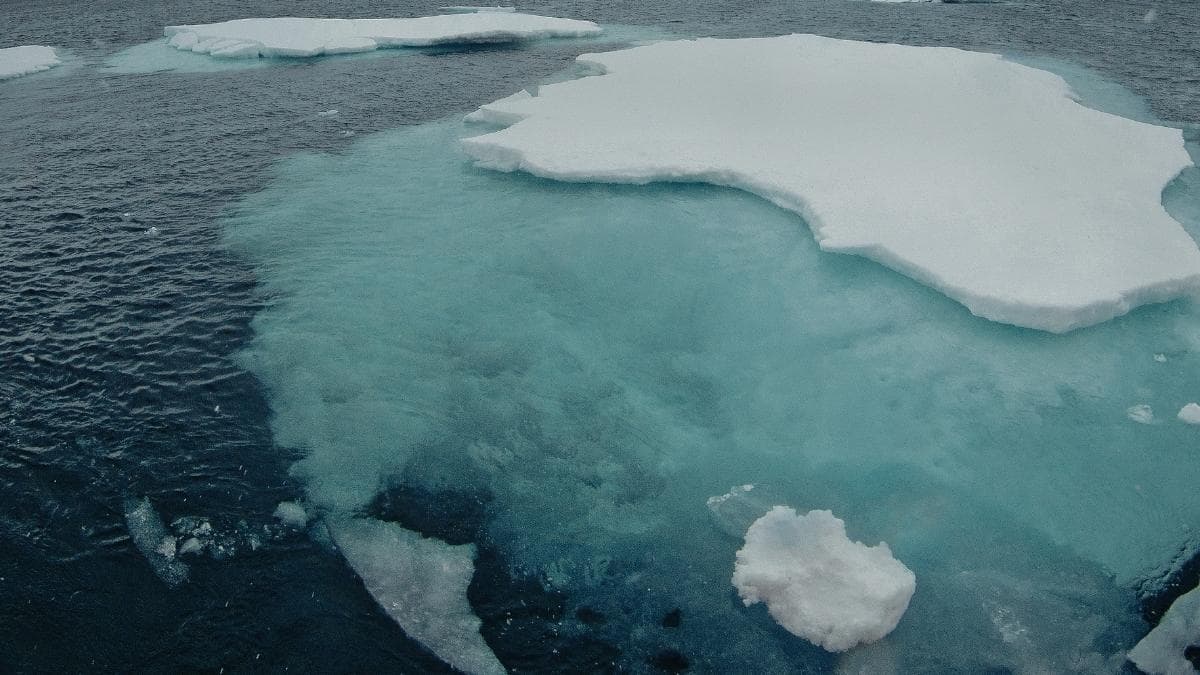Investigación pionera revela que restaurar el agua en turberas árcticas puede frenar la perdida de carbono