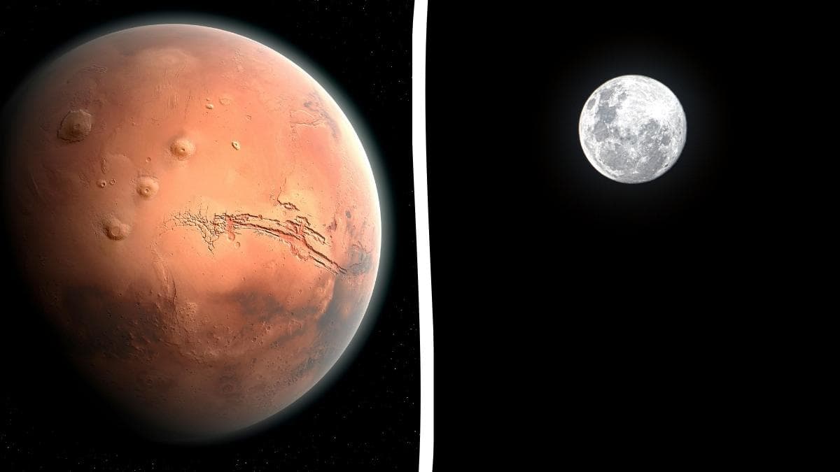 Imagen de apoyo para la noticia sobre Elon Musk cambia de rumbo: SpaceX prioriza construir una ciudad en la Luna antes que llegar a Marte