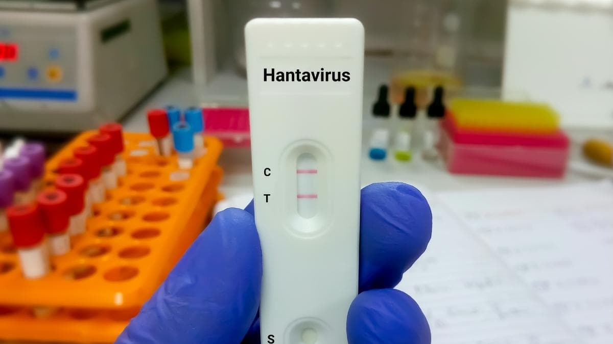 Qué es el hantavirus y por qué preocupa a los expertos: origen, contagio y cómo protegerse